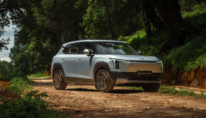 Nammi Vigo: A Budget-Friendly Contender with Big Ambitions Nammi Vigo: A Budget-Friendly Contender with Big Ambitions