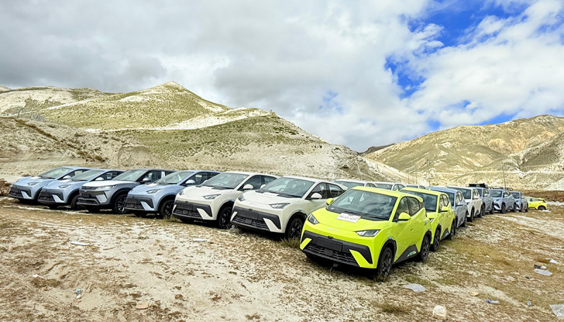 Korala Border Opens: First Batch of Electric Vehicles Arrives in Nepal